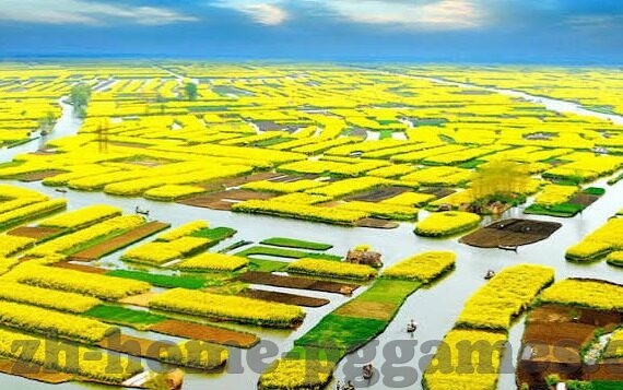 乐鱼体育安卓版app-乐鱼体育安卓版app，点燃竞技激情的移动平台